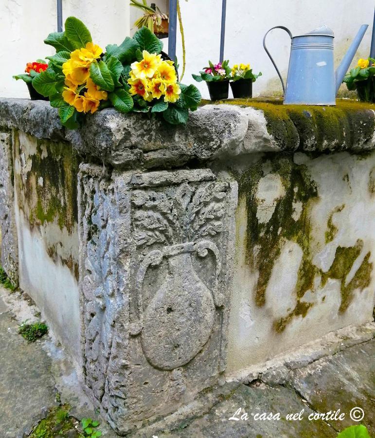 La Casa Nel Cortile Bed and Breakfast Vico Equense Exteriör bild