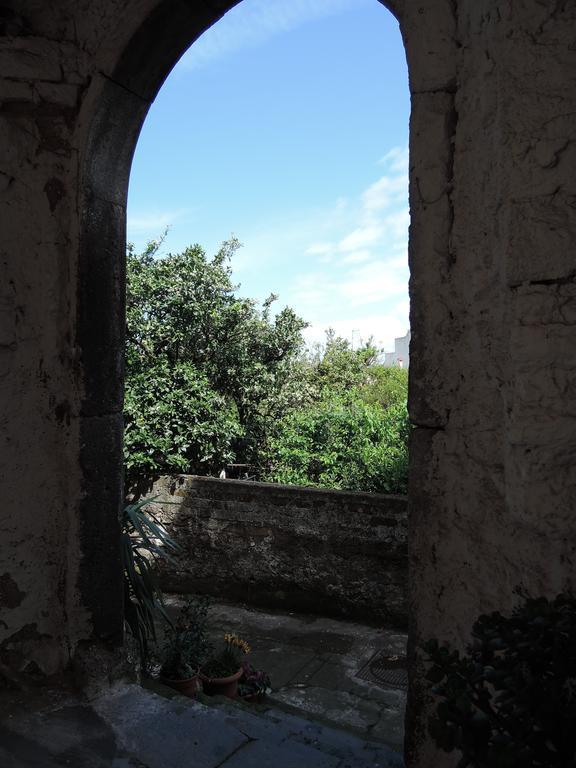 La Casa Nel Cortile Bed and Breakfast Vico Equense Exteriör bild